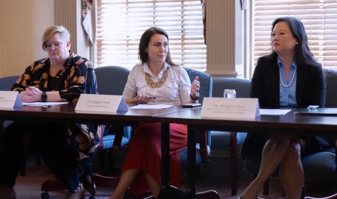 Dr. Meghan Walls at a roundtable discussion at Legislative Hall